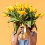 Logo du groupe Hpothèques